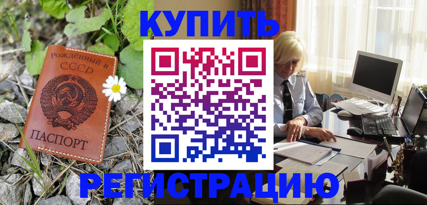 временная регистрация поиск в Королёве